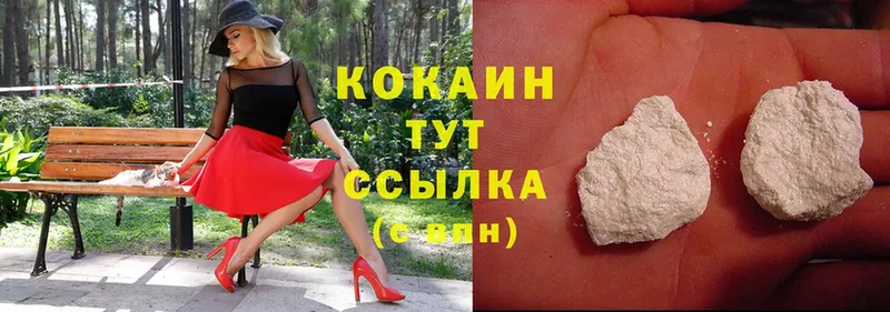 купить закладку  Александров  Cocaine Fish Scale 